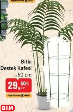 BİTKİ DESTEK KAFESİ